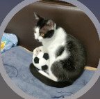 蝦皮買家 - nimo__